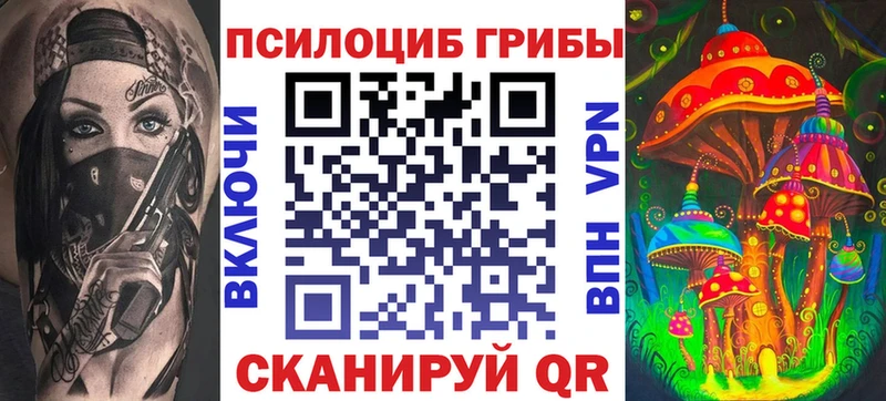 Псилоцибиновые грибы Cubensis  Белокуриха 